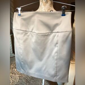 Elegant Light Gray Silver Women's Skirt